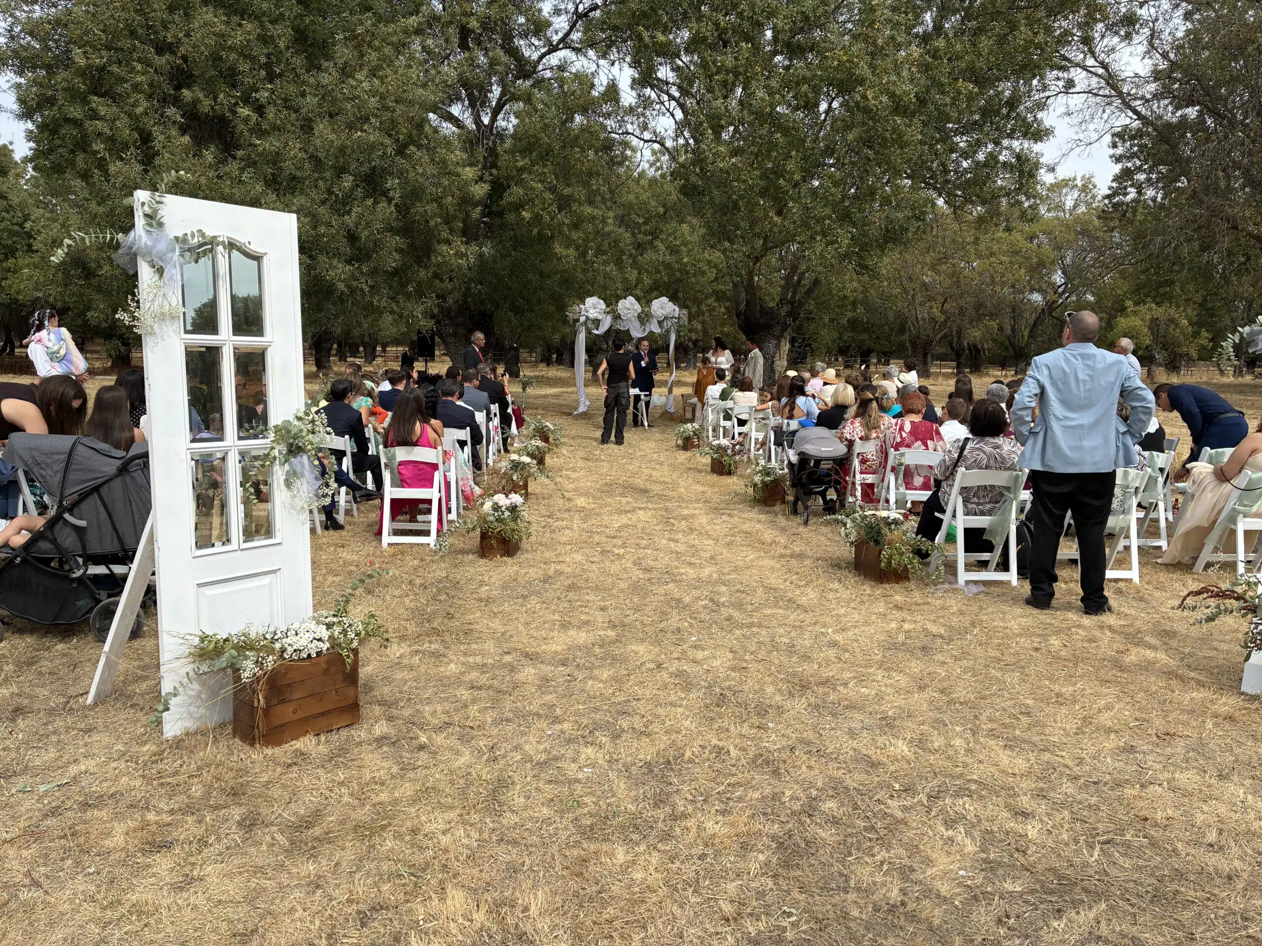 Invitados sentados en ceremonia nupcial al aire libre bajo encinas