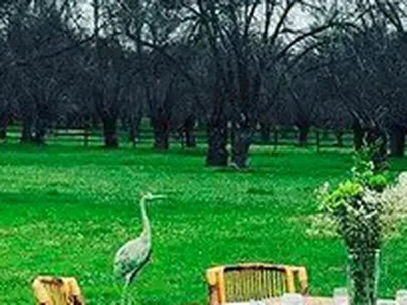 Finca Omayra (San Lorenzo de El Escorial): fincas y naturaleza