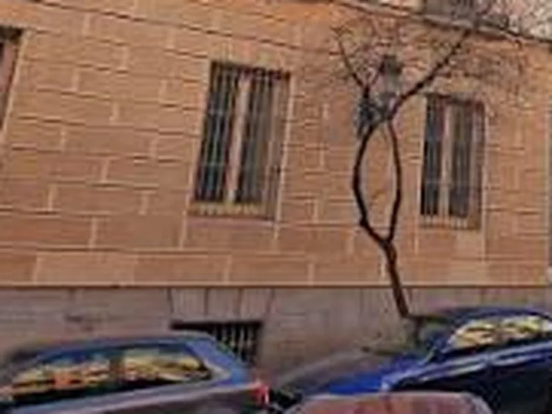 Palacio Fernán Núñez (Cortes / Centro): palacetes y emblemáticos